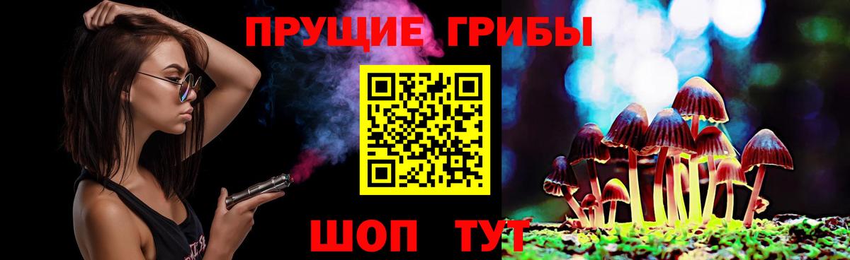 Псилоцибиновые грибы Psilocybine cubensis  Вход с VPN  Заинск  Псилоцибиновые грибы MAGIC MUSHROOMS 